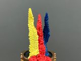 yellow, red, and blue feathers on top of a black vase