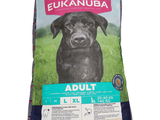 Aliments Eukanuba pour chiens adultes de grande race, 15 kg