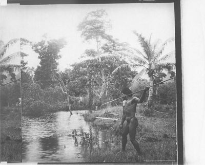 Papouasie Nouvelle-Guinée Plaque photographique positive En …