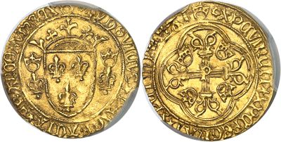 a gold coin with an image of a lion on it
