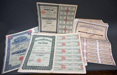 quelques anciens certificats sont posés les uns à côté des autres sur une table