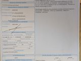 Photo 12/12 du lot