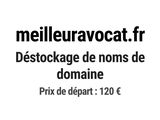 Photo 1/1 du lot