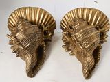 pair of brass sea shell wall sconces