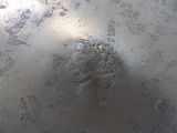 Photo 3/3 du lot