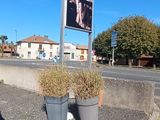Photo 3/3 du lot