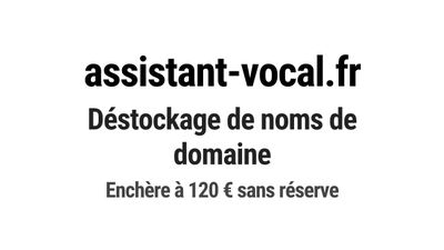 Nom de domaine assistant-vocal.