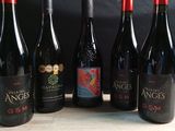 six bouteilles de vin rouge sont alignées sur une table