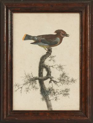 tableau représentant un oiseau perché sur une branche d'arbre