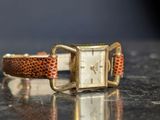 an image of a wrist watch with a snake skin band