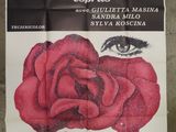 movie poster of a woman ' s face with a red rose in her mouth