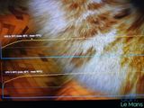 an image of a cat on a television screen