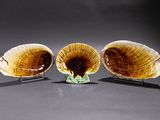 trois plats en forme de coquillage sont posés sur une table