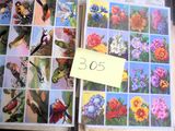 un livre avec des images d'oiseaux et de fleurs dessus
