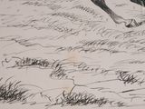 a drawing of a man riding a horse in a field