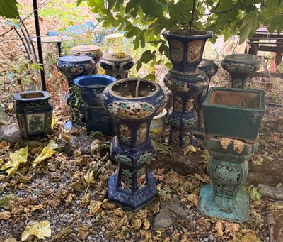 de nombreux pots posés à même le sol, les uns à côté des autres