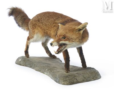a fake fox that is standing on a rock