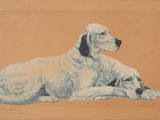 tableau représentant un chien et un chat allongés sur une surface marron