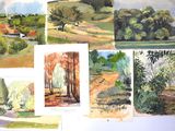 many different pictures of trees and bushes in this picture
