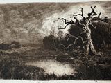 an image of a black and white drawing of a tree by a river