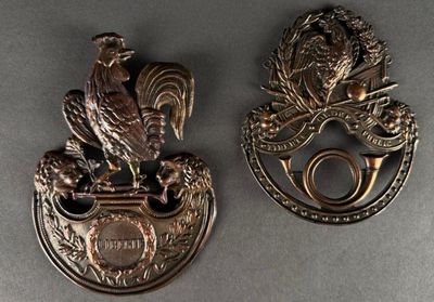 pair of antique brass door knockets with eagle and crest