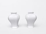 deux vases blancs posés sur une surface blanche