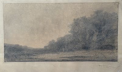 une photo d'une photo représentant un paysage avec des arbres