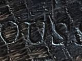 an image of a close up of a tree trunk with a fire hydrant in the background