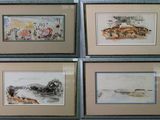 quatre tableaux encadrés représentant diverses aquarelles accrochés au mur