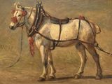a painting of a white horse with a harness on