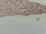 a picture of a drawing of a leaf on a piece of paper