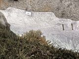 le reflet d'une personne dans un miroir posé dans l'herbe