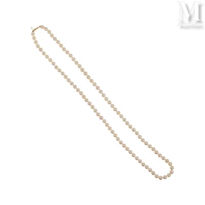 Collier de perles de culture Collier de perles de culture, l… - Photo 1