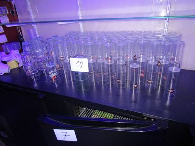 beaucoup de verres vides posés sur un comptoir