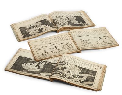 Ranma Zushiki - Ensemble de trois volumes japonais