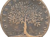 un gros plan d'une pièce de monnaie sur laquelle figure un arbre