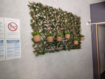 a wall with plants growing on it and a no parking sign on the wall