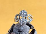a ring that is sitting on top of a shell