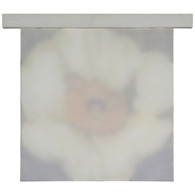 une photo d'une photo d'une fleur accrochée au mur
