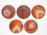 six agite coasters on a white surface with a white background