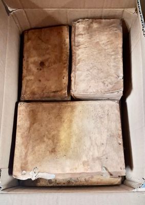 a box with four pieces of cake in it