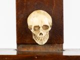 a skull on a wooden shelf with a white wall in the background
