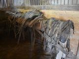 many horses that are lined up in a stall