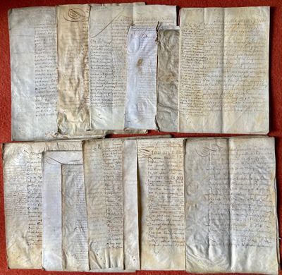 several pages of old manuscripts are laid out on a red surface
