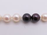 a close up of a row of different colored pearls on a white surface