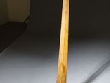 an elephant horn on a wooden stand in front of a black background