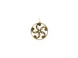 a close up of a gold pendant on a white background