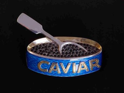 (+) Anatol Brusilovsky (NÉ EN 1932)