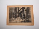 a black and white drawing of a tree in the woods