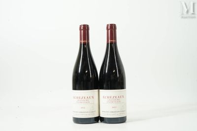 deux bouteilles de vin rouge posées l'une à côté de l'autre sur une surface blanche